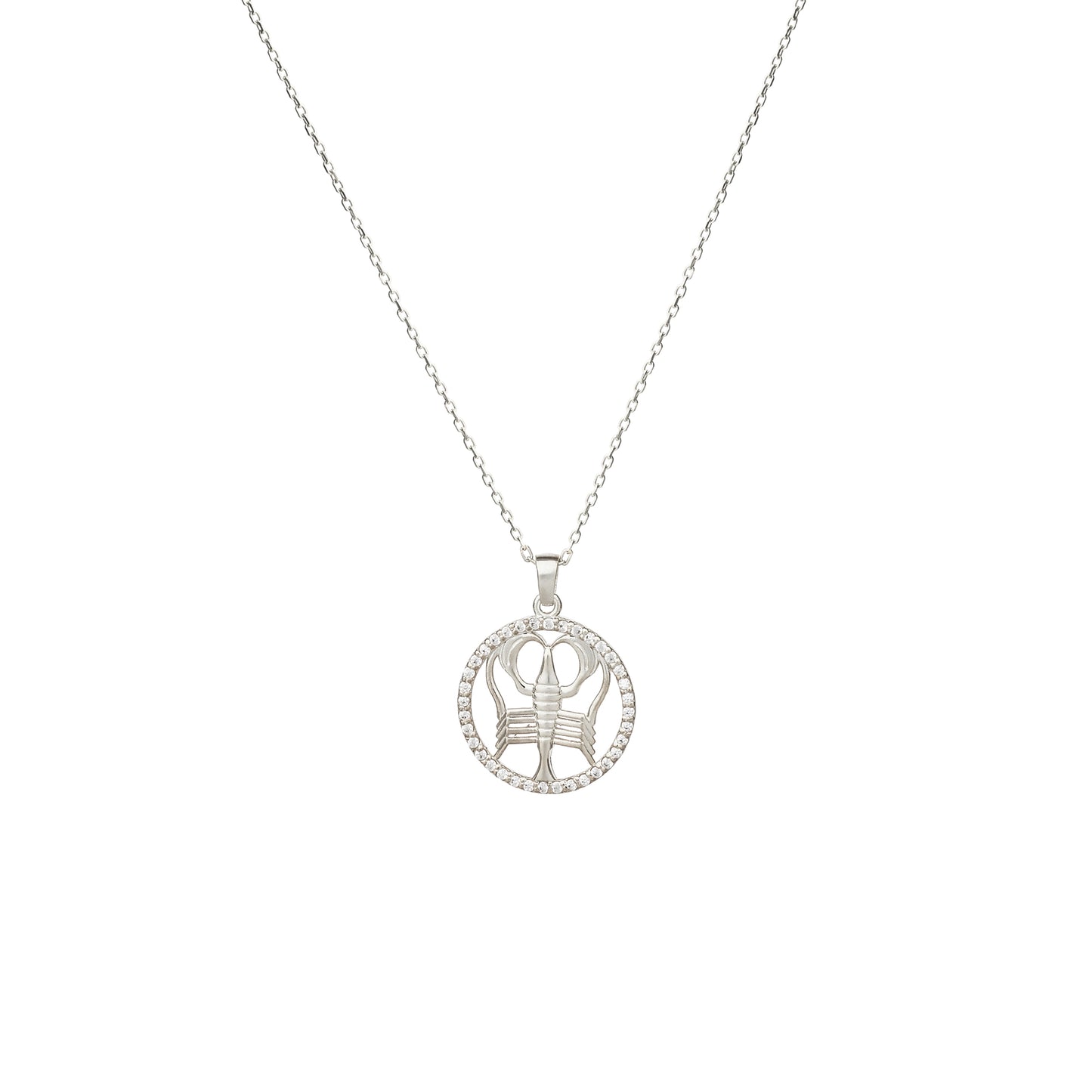 CANCER Zodiac Symbol Necklace | Horoscope Oval Pendant Necklace in Gold & Silver