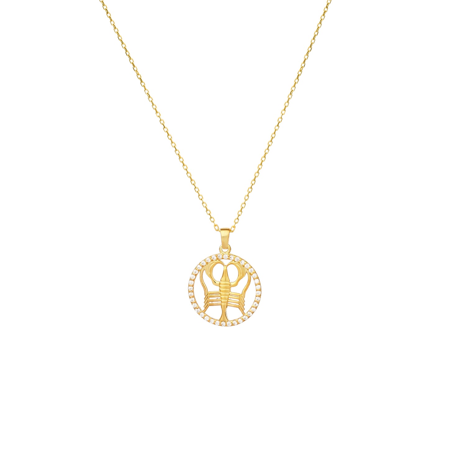 CANCER Zodiac Symbol Necklace | Horoscope Oval Pendant Necklace in Gold & Silver